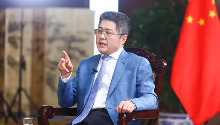 全面解析与落实，人见人爱的生肖魅力