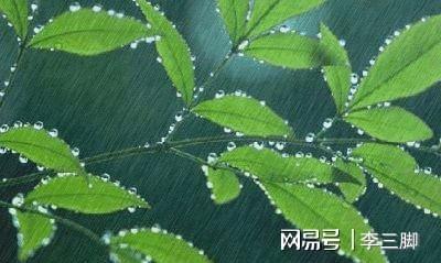 幸运数字的奥秘，生肖鼠的专属密码