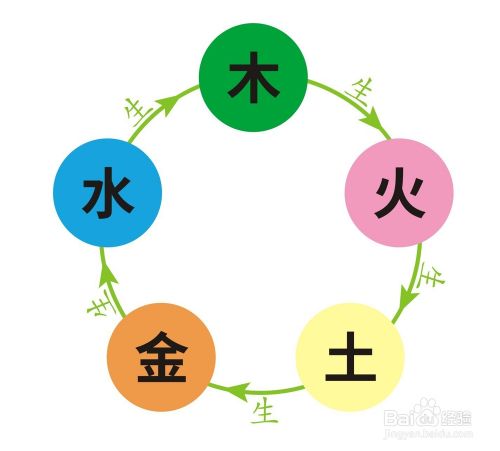 揭秘金木肖，探寻中国生肖文化中的独特魅力