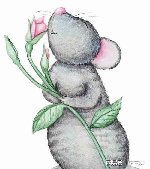 幸运数字的奥秘，生肖鼠的专属密码