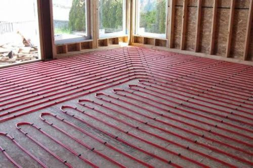 阳光照耀大地暖，生肖之谜的温馨解读