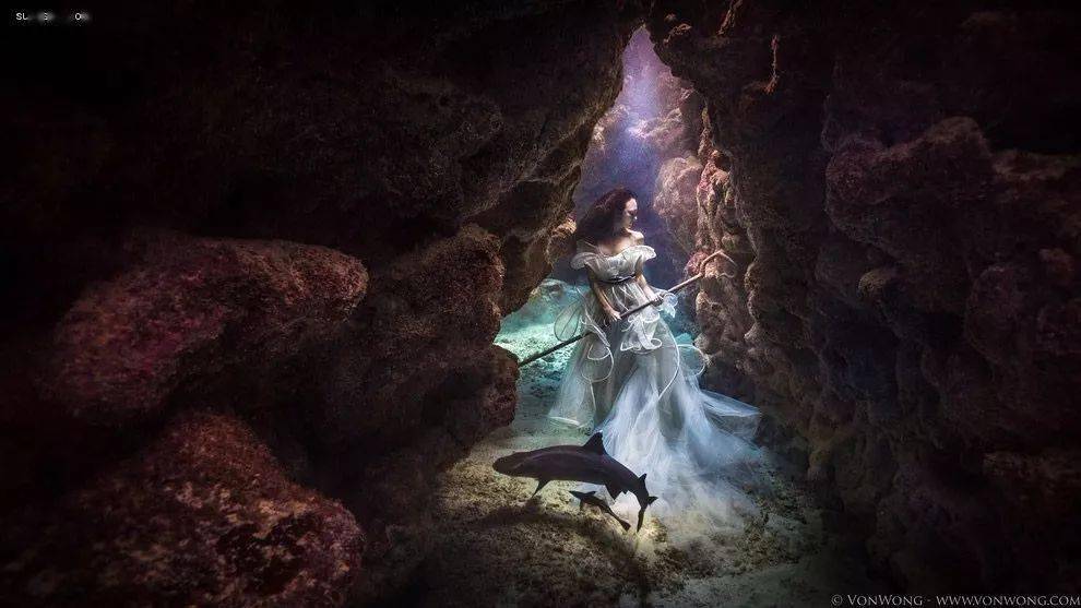 从者如云，生肖共舞的和谐之美