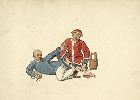 早睡早起的生肖，社会进步与文化解析