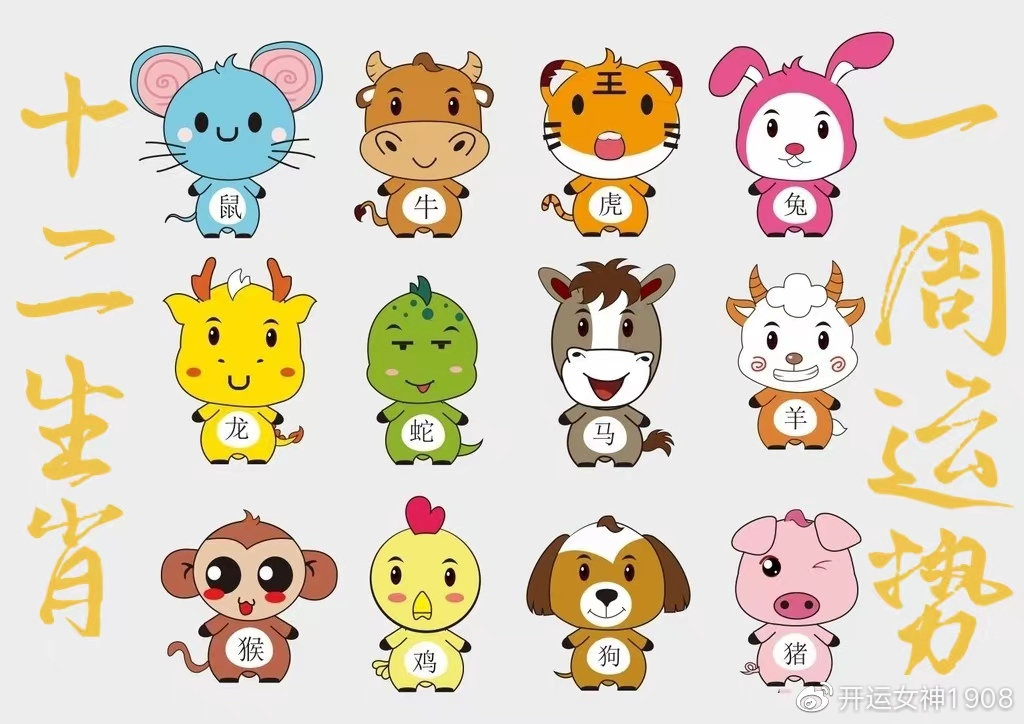 一月属什么生肖，精选解析与落实的详细结果