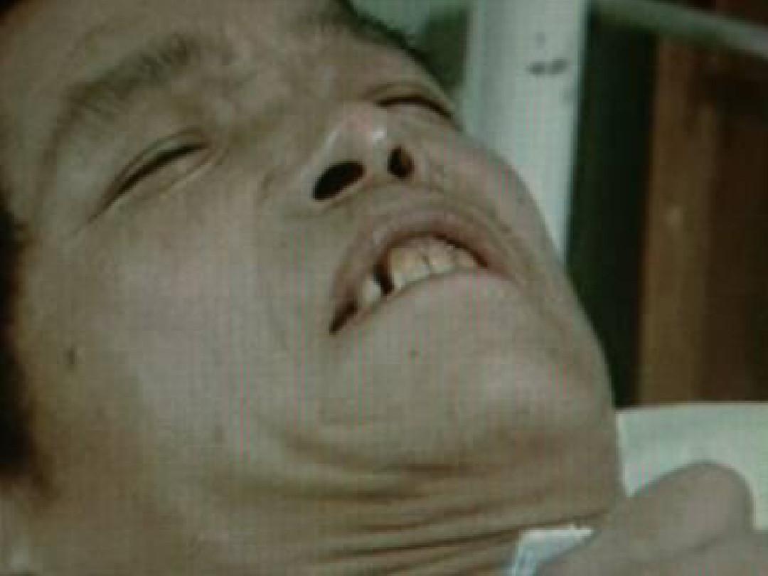 咬紧牙根猜一动物，背后的坚韧与不屈