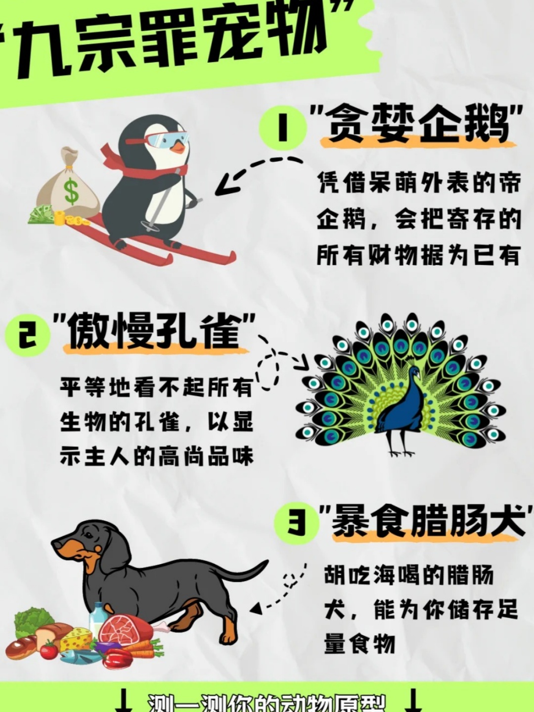 贪荣慕利猜一动物，全面解析与落实