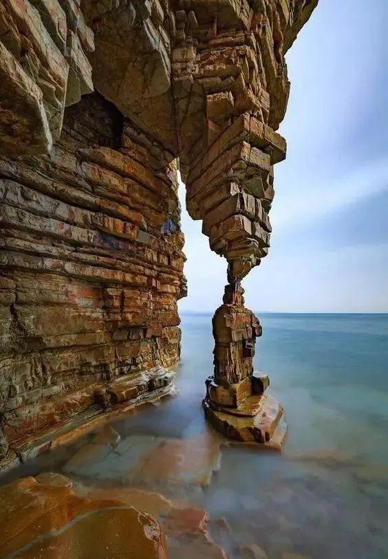 揭秘自然奇观，行雷布阵施大雨，猜猜是什么动物成就了这一切？