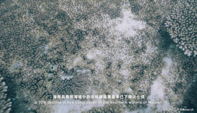 人心难测与生肖共舞，探索和谐共生的奥秘