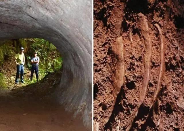 六月飞雪猜一生肖，谜团与智慧的碰撞