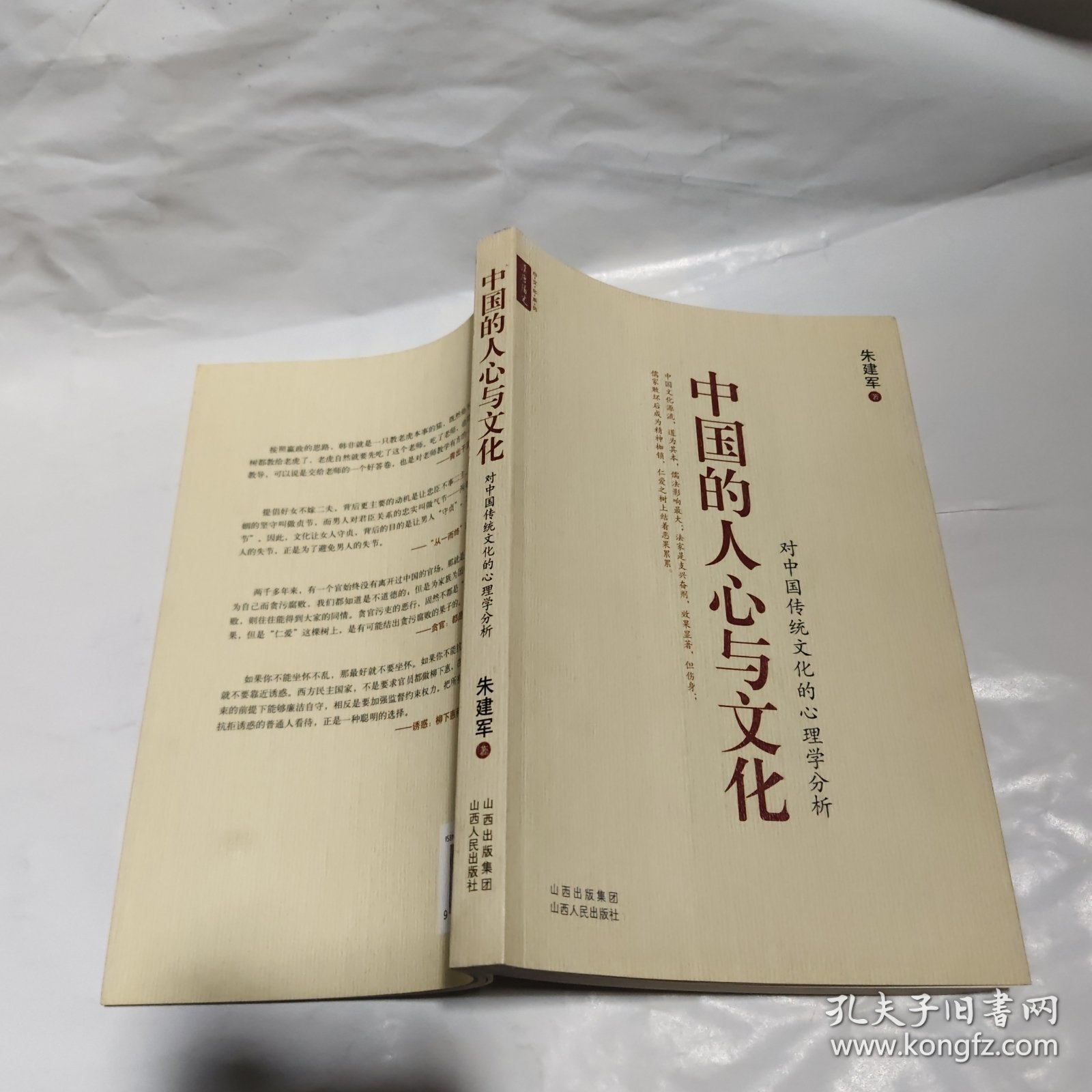 胆小鬼的生肖之谜，揭秘背后的文化与心理