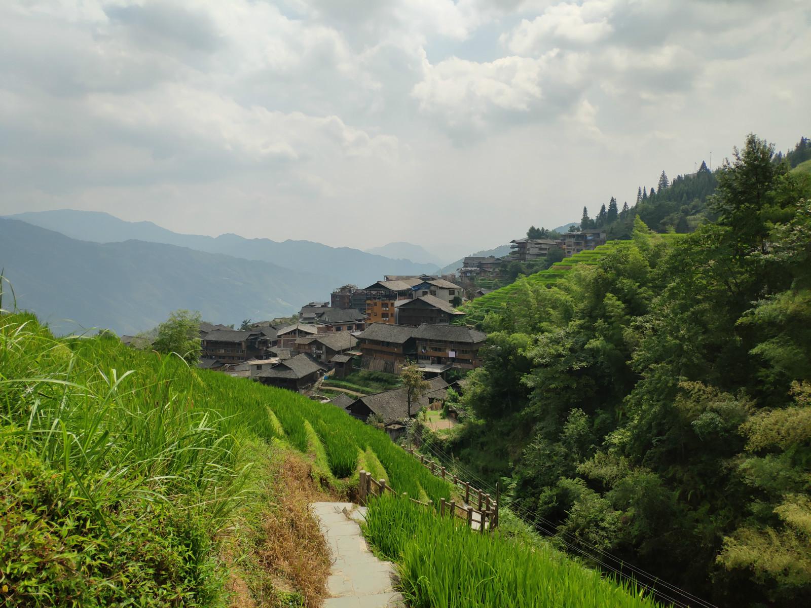 七星伴月猜一生肖，解释与落实的和谐共舞