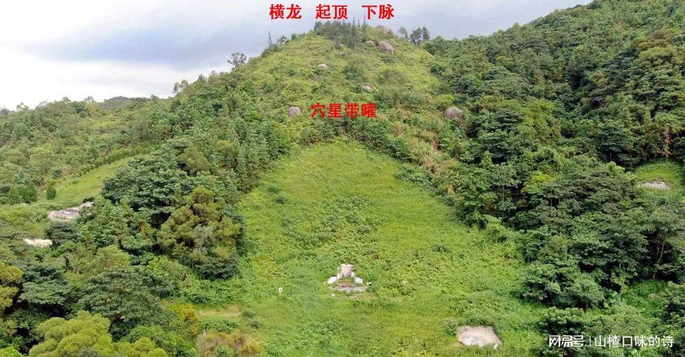 风水宝地出男丁猜一生肖，团结解释落实