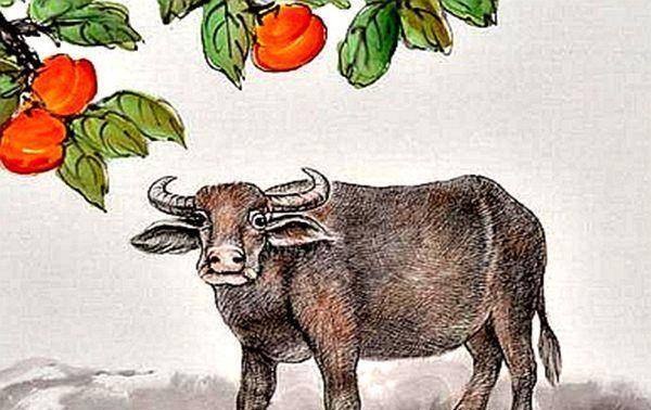 蝼蚁得志打一正确生肖，选择解释落实