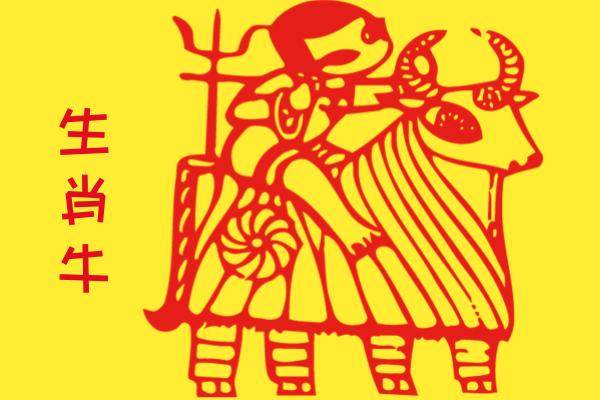 脚踏实地是指什么生肖，揭秘如何选择并落实正确的