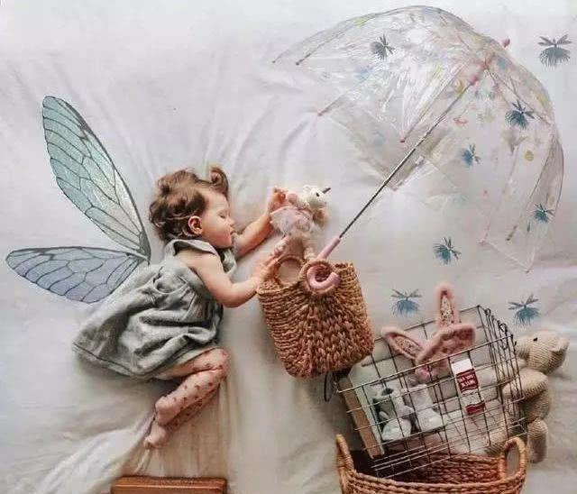 深度解析不劳而获与智慧思考，以猜动物为镜