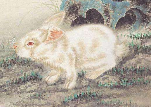 美丽动人的生肖，的精准解答与落实精神