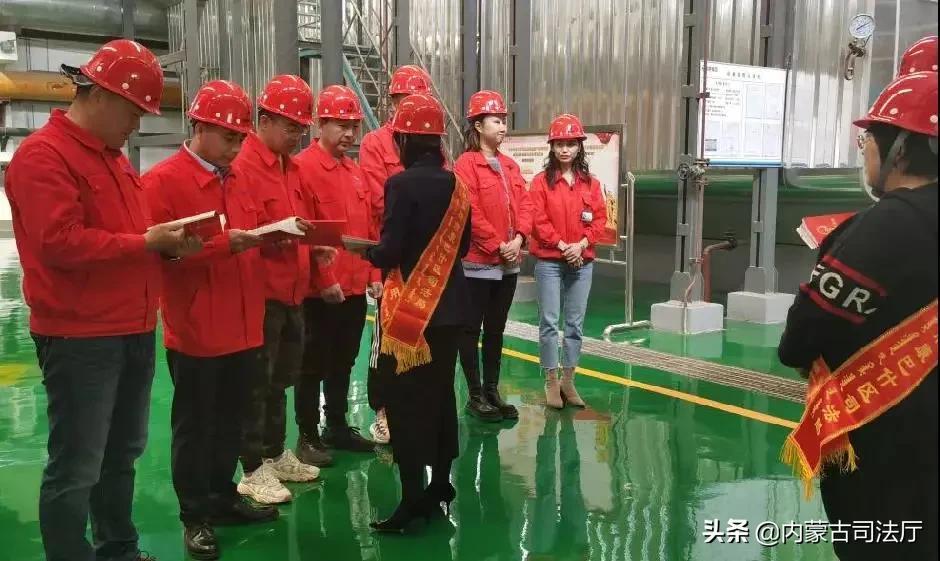 东奔西跑打一生肖，的最快解答落实