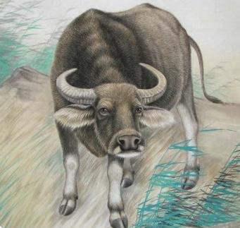 独来独往是什么生肖，友爱作答落实解释