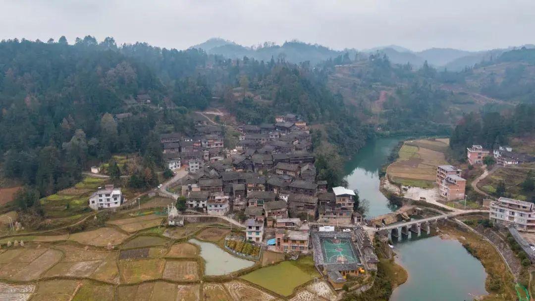 法海属相之谜，经典解释与文化探秘