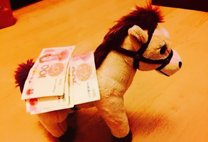 欲钱买爱打抱不平的动物打一生肖，成就解释落实