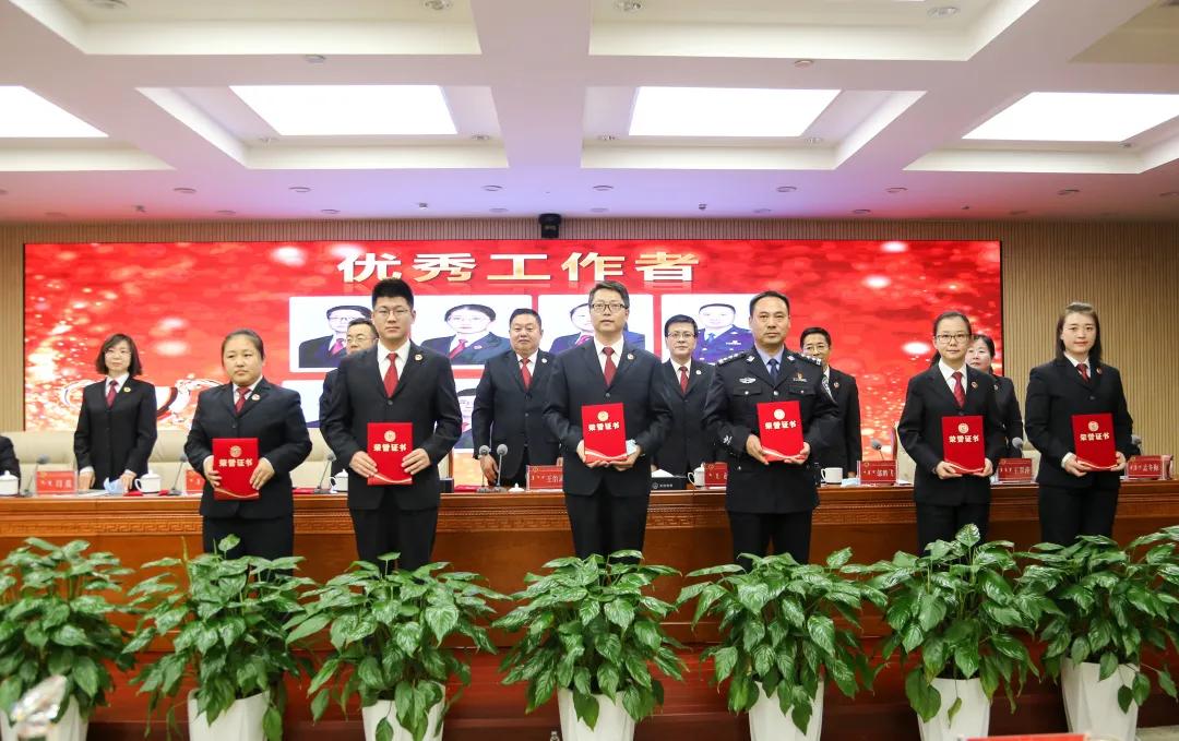 缘木求鱼是什么生肖，全面解析与落实