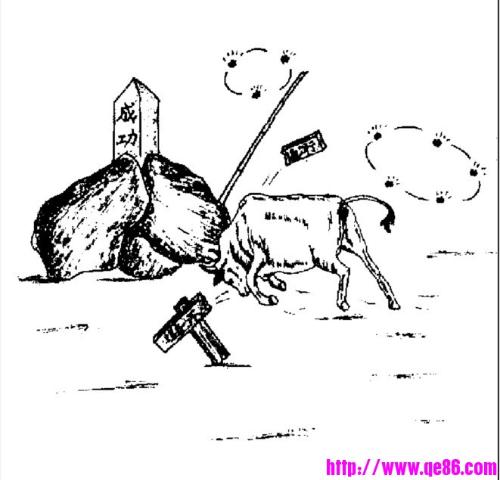 彷徨四顾猜一生肖，深度解析与智慧思考