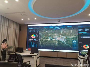 牧猪奴戏什么生肖，详细作答落实解释