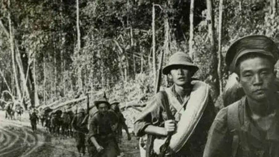 谜语揭秘，水送山迎猜一动物—灵猴跃动