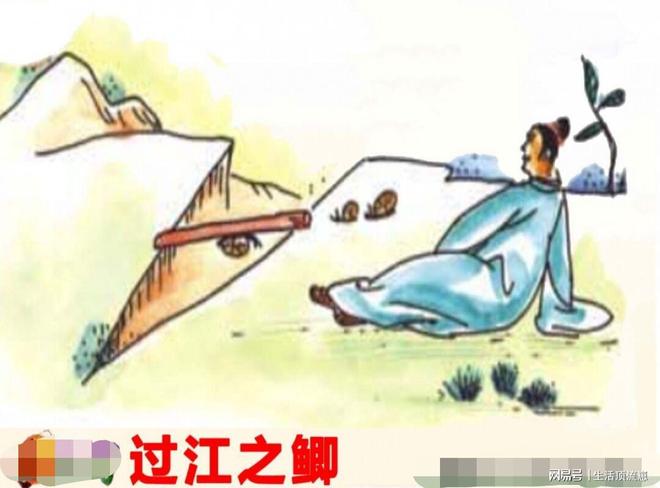 二一添四打一正确生肖，最新解释与落实