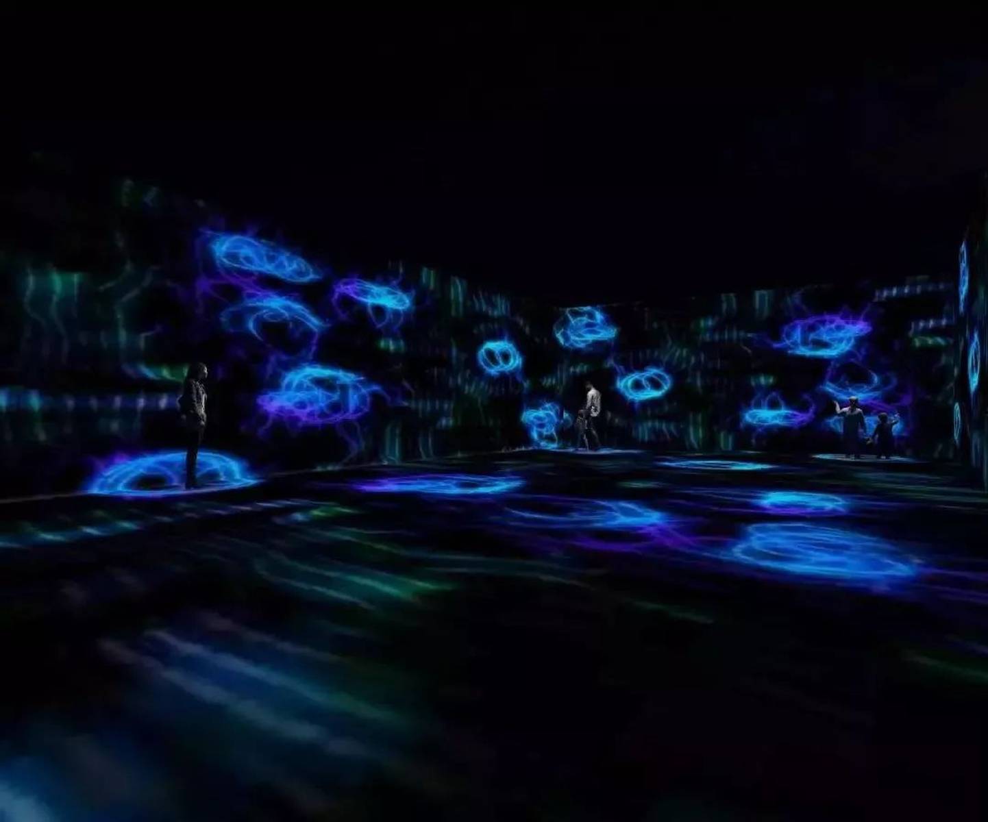 吸血鬼与生肖之谜，一场跨越时空的奇妙解谜