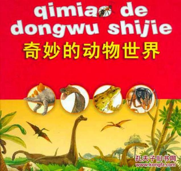 五讲四美与动物世界的奇妙联结，以定量解释落实为钥匙的探索之旅