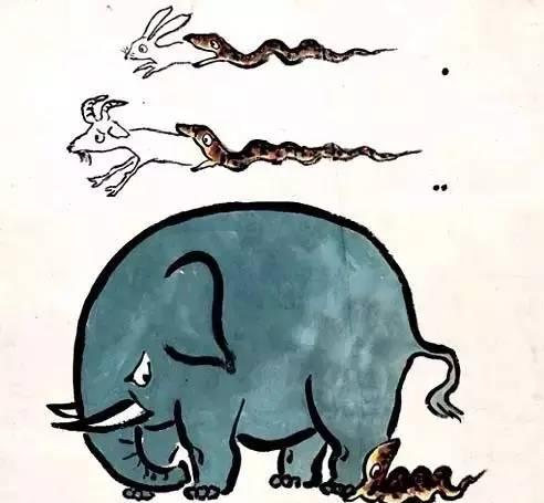 人心不足蛇吞象猜一生肖，一场误导解释的落实与反思