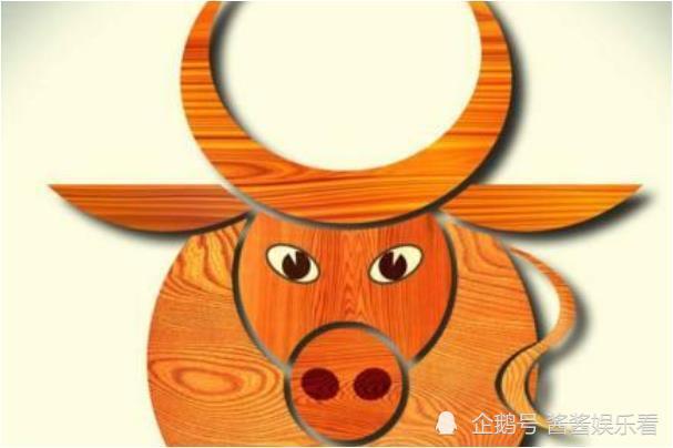 十二生肖智慧大比拼，谁最笨的理想作答与现实解释