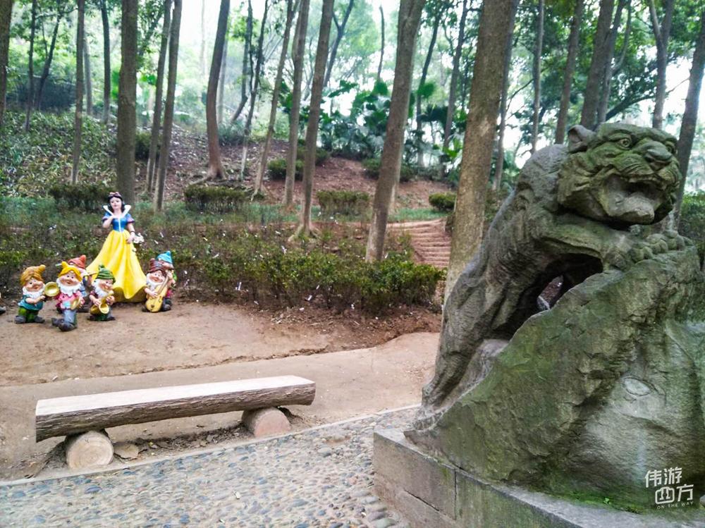 五颜六色的生肖寓意与现代生活的融合