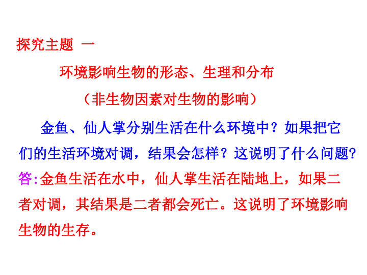 十二生肖，神秘关系网中的相互影响与启示