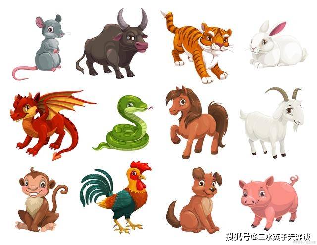 不共戴天之谜，生肖动物背后的文化解读与深层寓意