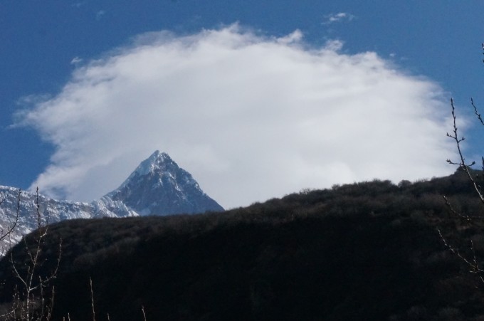 揭秘东躲西藏背后的文化寓意，生肖之谜的深度解析