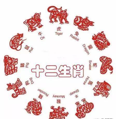 揭秘各霸一方背后的生肖奥秘，全面解析与正确答案