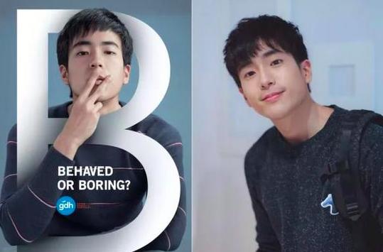 神出鬼没猜一动物?绝佳作答落实解释