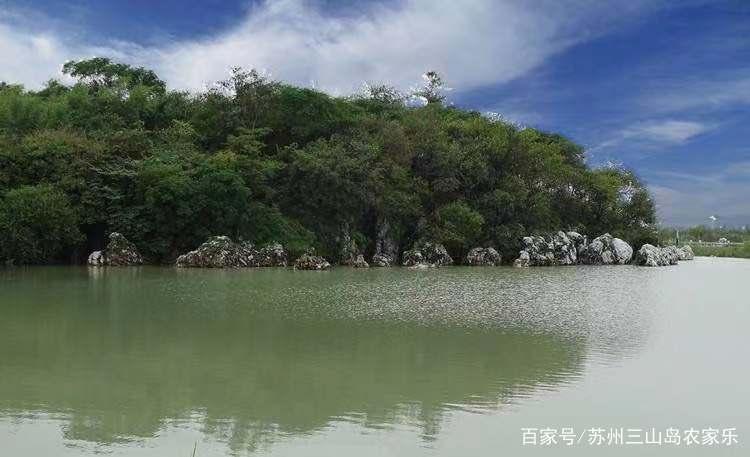 巧夺天工是指什么生肖，成就解释落实