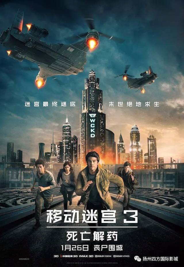 谜题揭晓，同舟共济背后的生肖奥秘