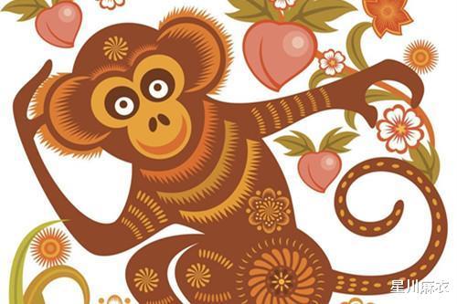 颠三倒四的生肖，选择解释落实