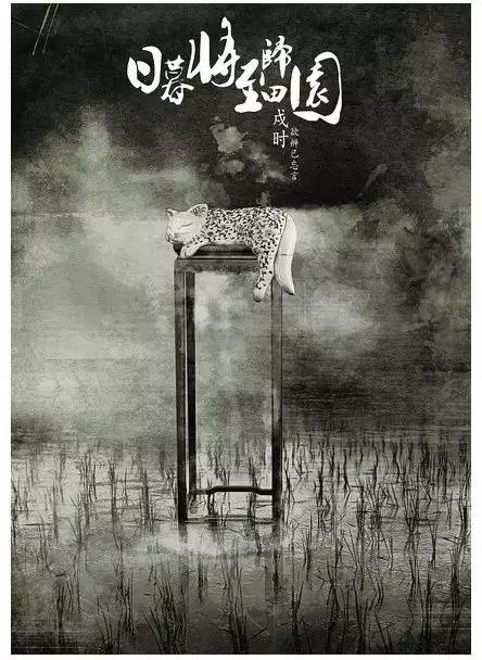 十二生肖与十二时辰，精选解析与落实的详细结果