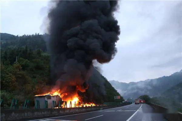 舍车保帅，智慧之举与生肖的深层寓意