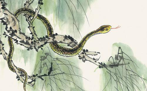 蛇与哪些生肖相冲，传统文化中的奥秘解析