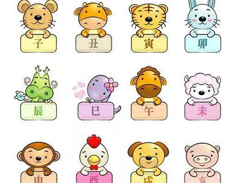 聋哑人代表什么生肖，以生肖鼠的坚韧与智慧为喻