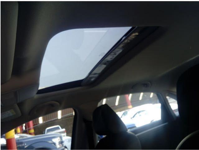 豺狼当道指的是什么生肖，的温馨解析与文化解答