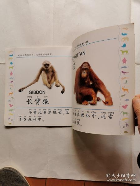 张璞玉猜一动物?沉稳作答落实解释