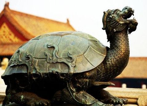 揭秘王八背后的文化与生肖之谜