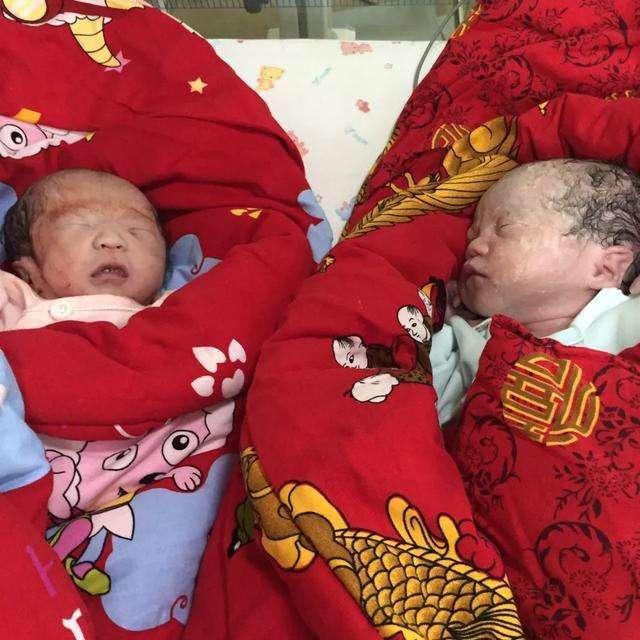 双喜临门龙凤胎，生肖文化中的独特寓意与解读